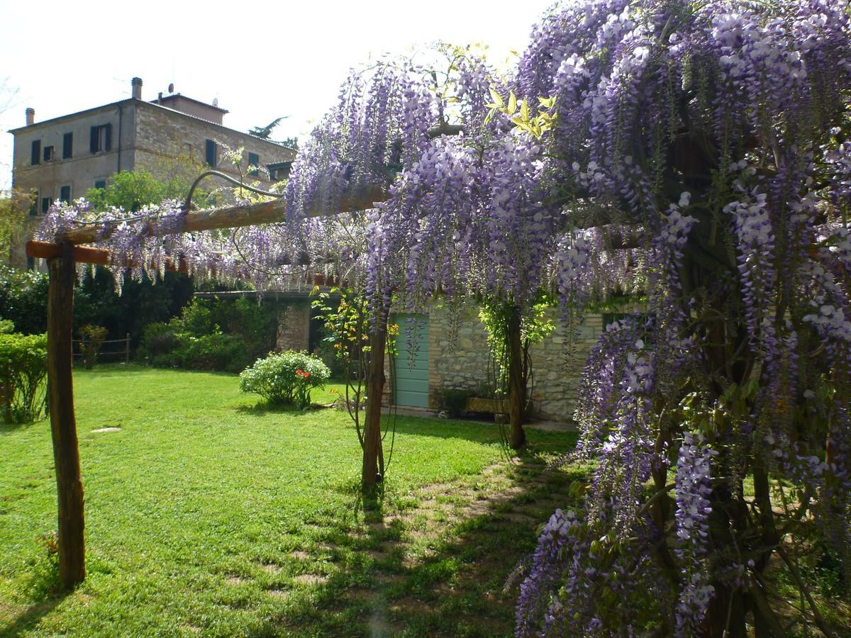 Bio La Crocetta Hotel San Casciano dei Bagni Eksteriør billede